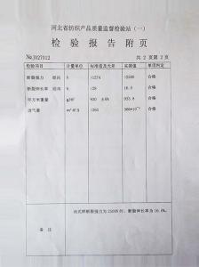 檢測報告